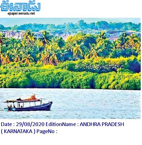 ఈనాడు : Eenadu Telugu News Paper | Eenadu ePaper | Eenadu Andhra