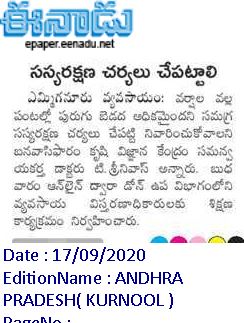 ఈనాడు : Eenadu Telugu News Paper | Eenadu ePaper | Eenadu Andhra