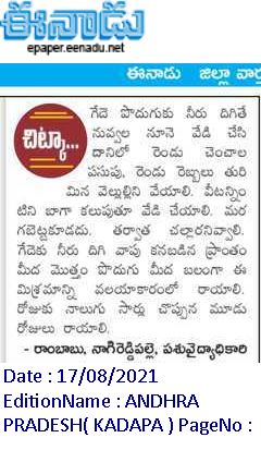 ఈనాడు : Eenadu Telugu News Paper | Eenadu ePaper | Eenadu Andhra