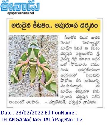 ఈనాడు : Eenadu Telugu News Paper | Eenadu ePaper | Eenadu Andhra