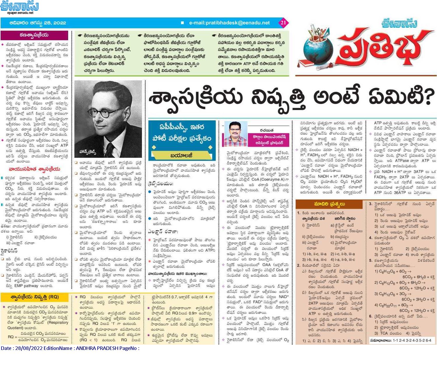 ఈనాడు Eenadu Telugu News Paper Eenadu ePaper Eenadu Andhra Pradesh Eenadu Telangana